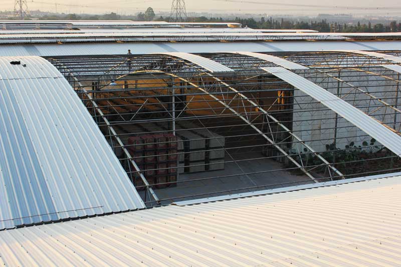 嘉興市區買(mǎi)合成樹(shù)脂瓦