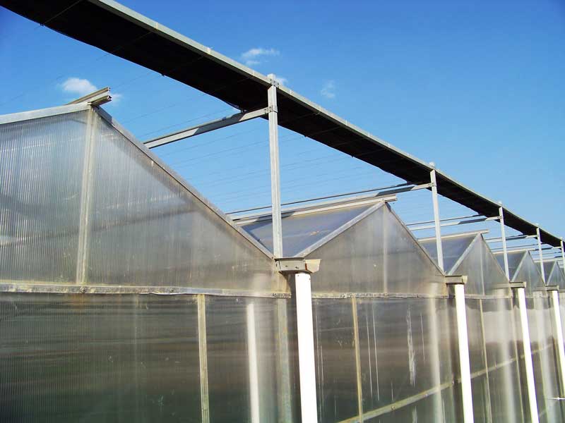 6米透明瓦多少錢(qián)一塊