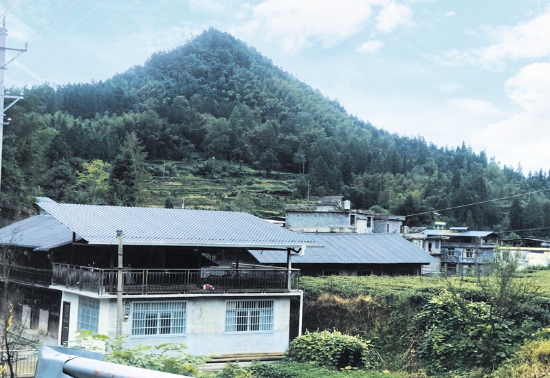 濟南樹(shù)脂瓦生產(chǎn)廠(chǎng)家