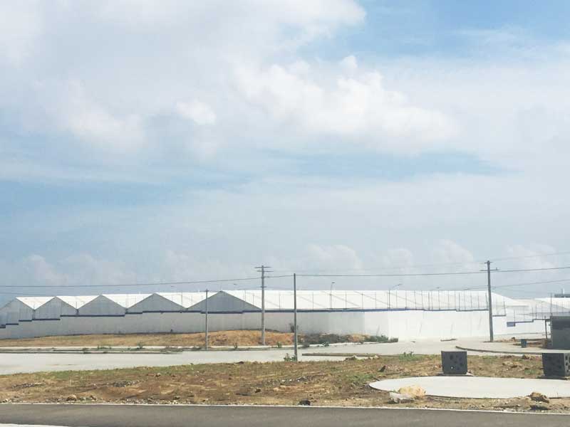 請問(wèn)樹(shù)脂瓦多少錢(qián)一平方