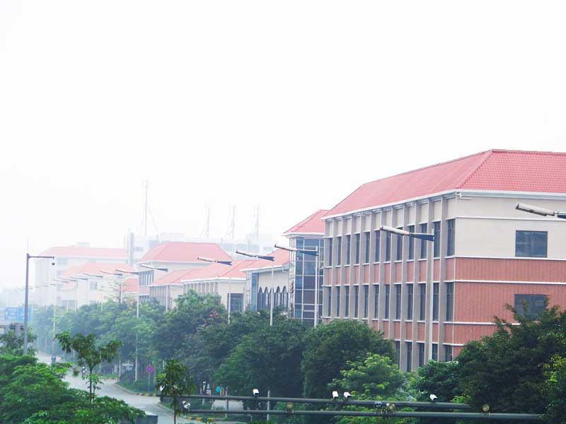 柳州樹(shù)脂瓦生產(chǎn)廠(chǎng)家