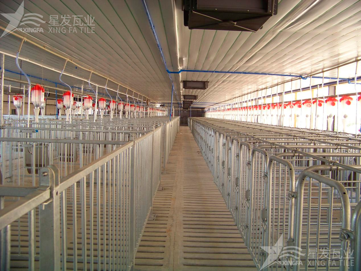 炎炎夏日即將來(lái)臨，為什么養殖場(chǎng)越來(lái)越多地選擇PVC瓦？