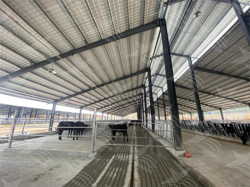 樹(shù)脂瓦：養殖場(chǎng)的夏日守護者，為小動(dòng)物打造涼爽樂(lè )園