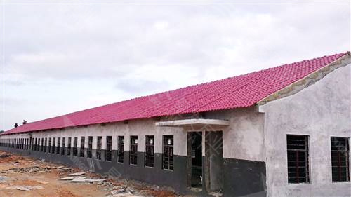 新農村改造工程樹(shù)脂瓦工廠(chǎng)報價(jià) 大型養殖場(chǎng)屋頂用保溫隔熱防火塑料瓦 PVC樹(shù)脂瓦廠(chǎng)家直銷(xiāo)批發(fā)